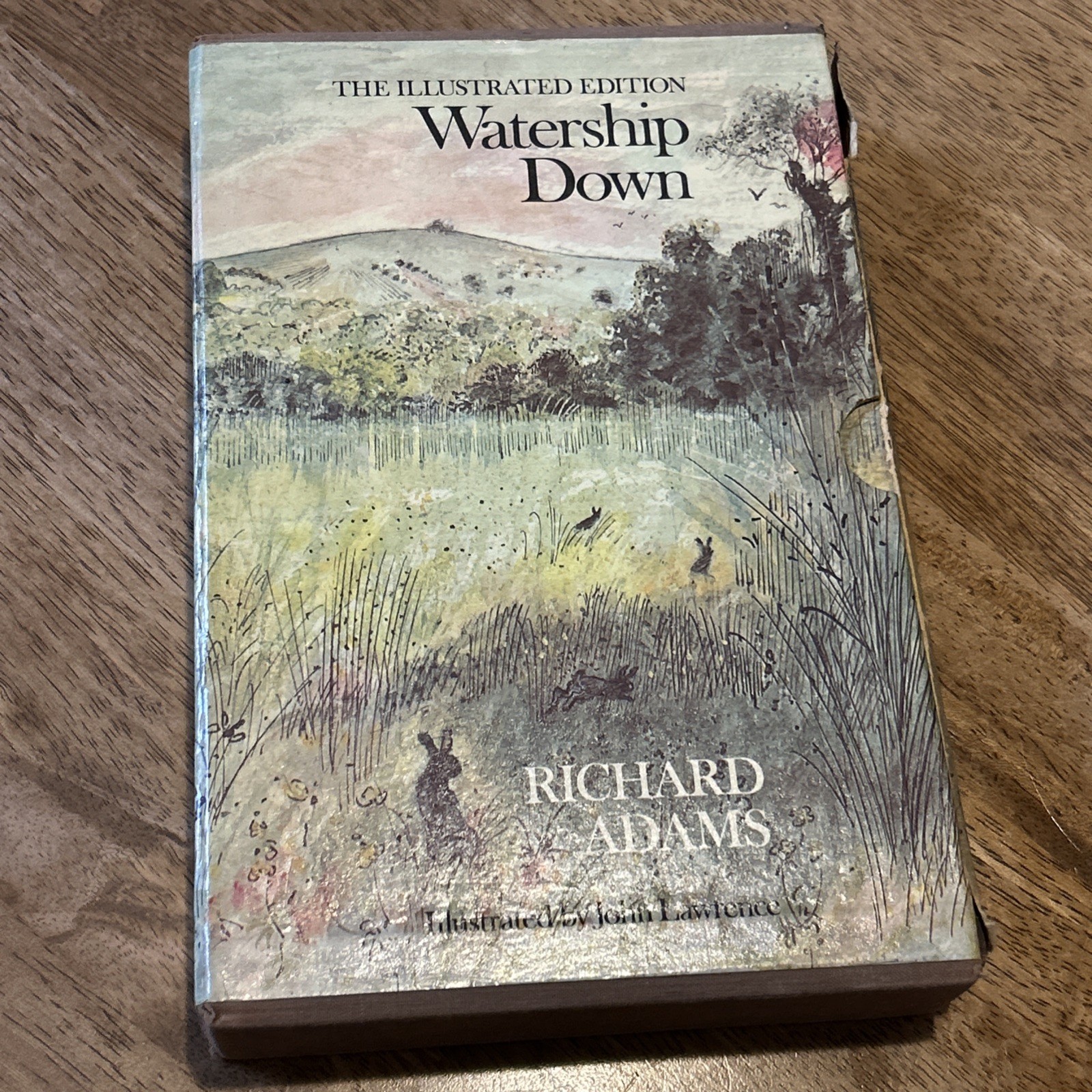Watership Down Illustrated Edition 1978 Slip Case Dust Jacket Map Richard Adams