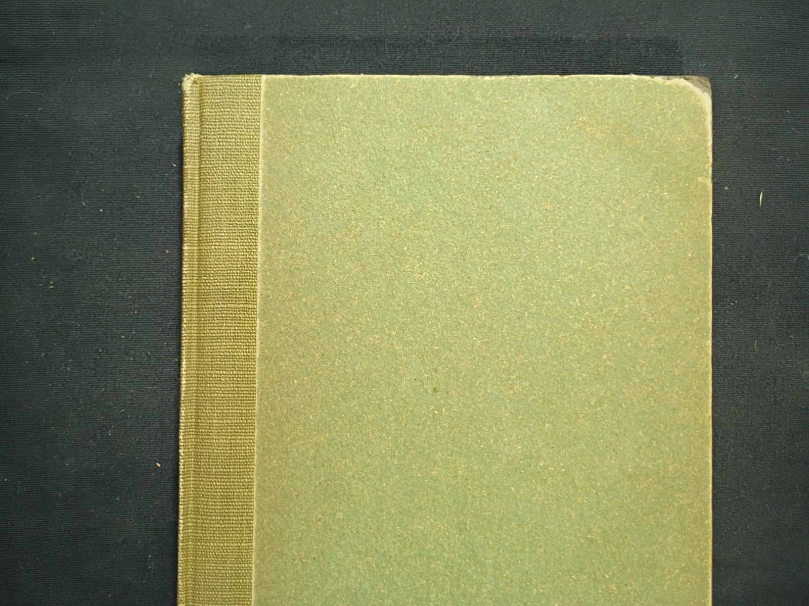 1909 Undine by Fouque, illus. by Rackham, 1st Eng. ed. 15 color plates. Beauty!