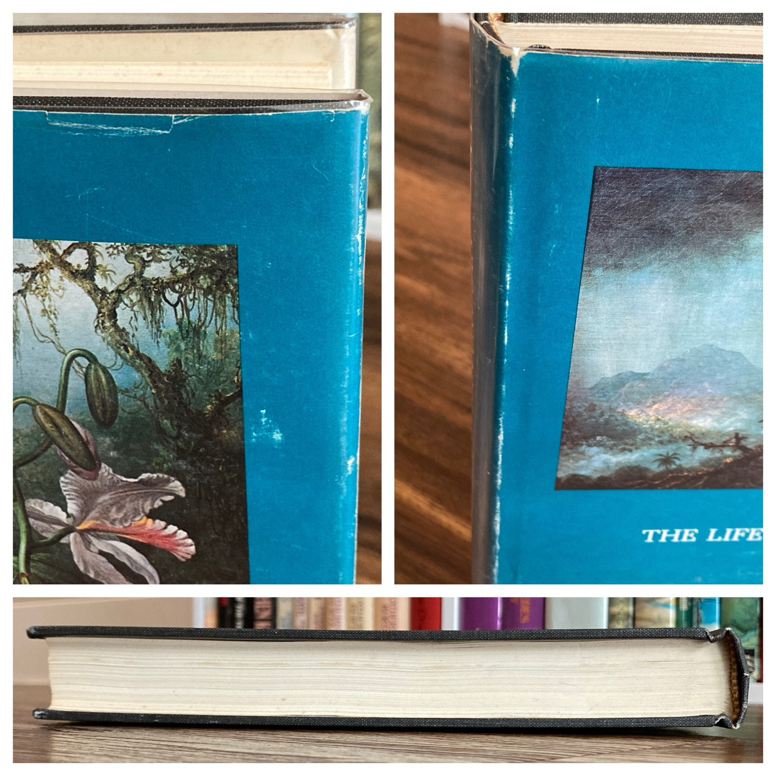 Life & Works of Martin Johnson Heade – Theodore E. Stebbins (1st ed.) Yale, 1975