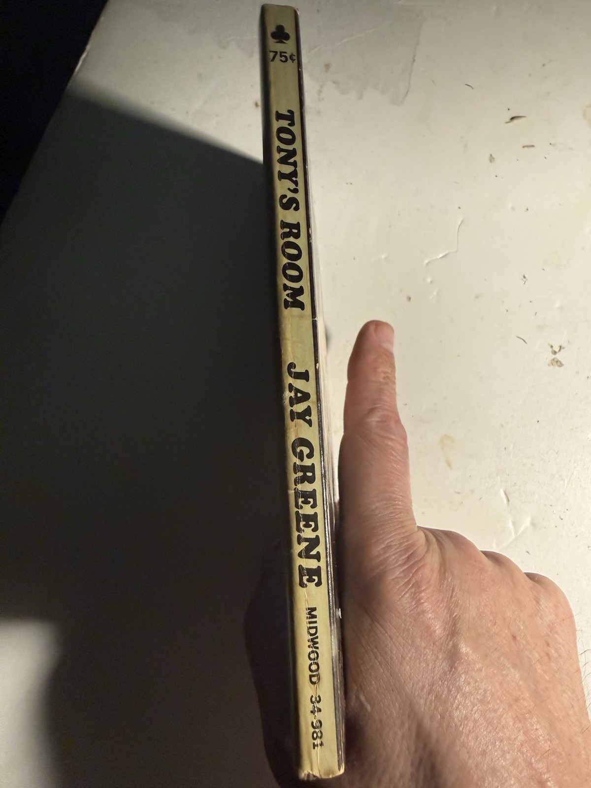 TONYS ROOM 1968 JAY GREENE MIDWOOD PRIVATE ED VINTAGE PULP NOVEL GAY INTEREST