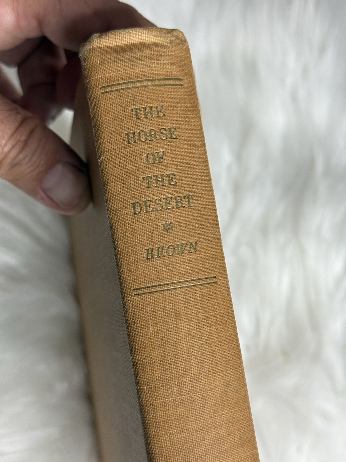 The Horse of the Desert William Robinson Brown 1947 HC Illustrated Arabian Horse