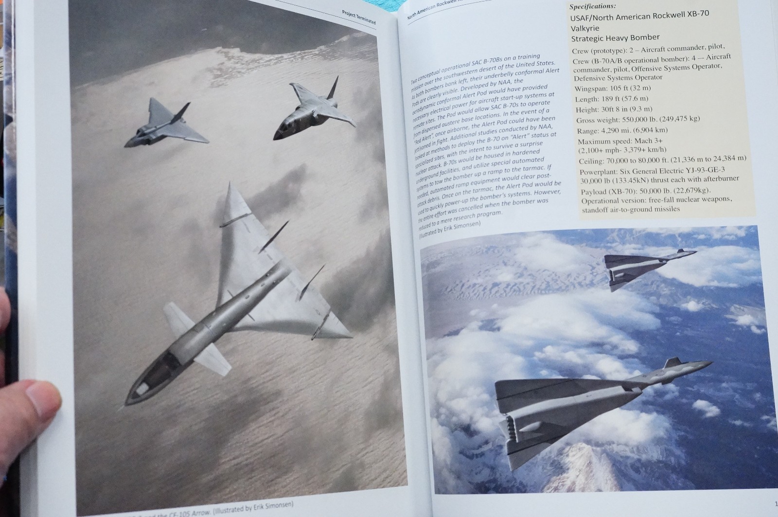 Project Terminated – Simonsen – Tall Hardbound – 2013 – 224 pages.