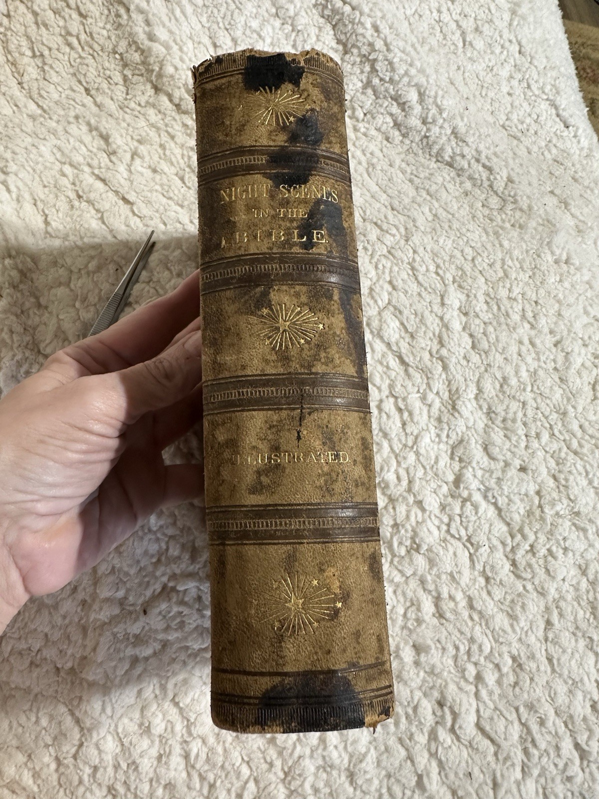 Night Scenes In The Bible 1869 Antique Religious Art Leather Bound Gold Gilded