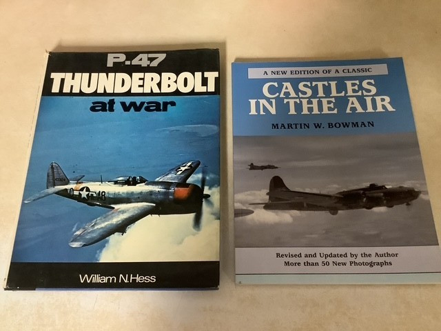 Military Planes Aircraft P-47 Thunderbolt WW2 Bomber War Hess Castles Air Bowman