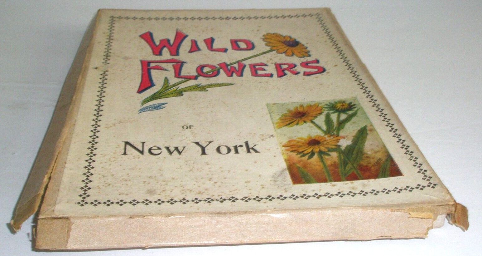 Wild Flowers of New York 1912 Chester Reed Mohonk Lake NY Illustrated w/box