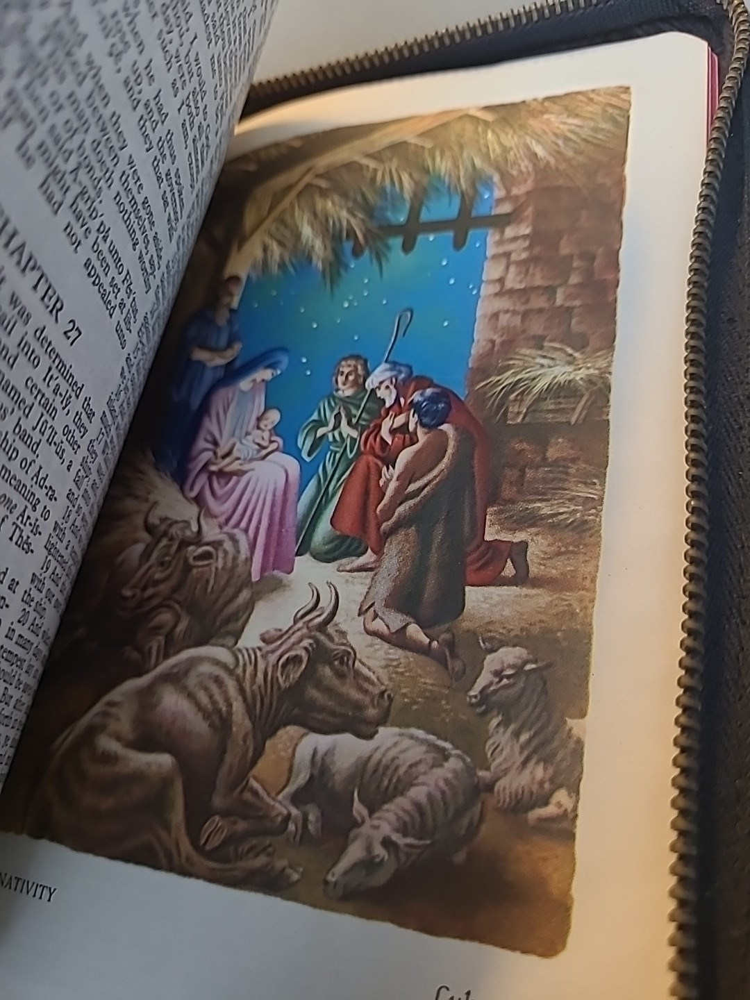 The World Publishing Company Illustrated Holy Bible 1950s Zipper Closure GOOD