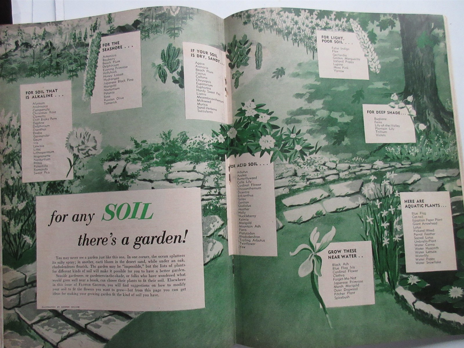 Flower Grower Magazine Vintage March 1953 Spring Planting, Better Soil