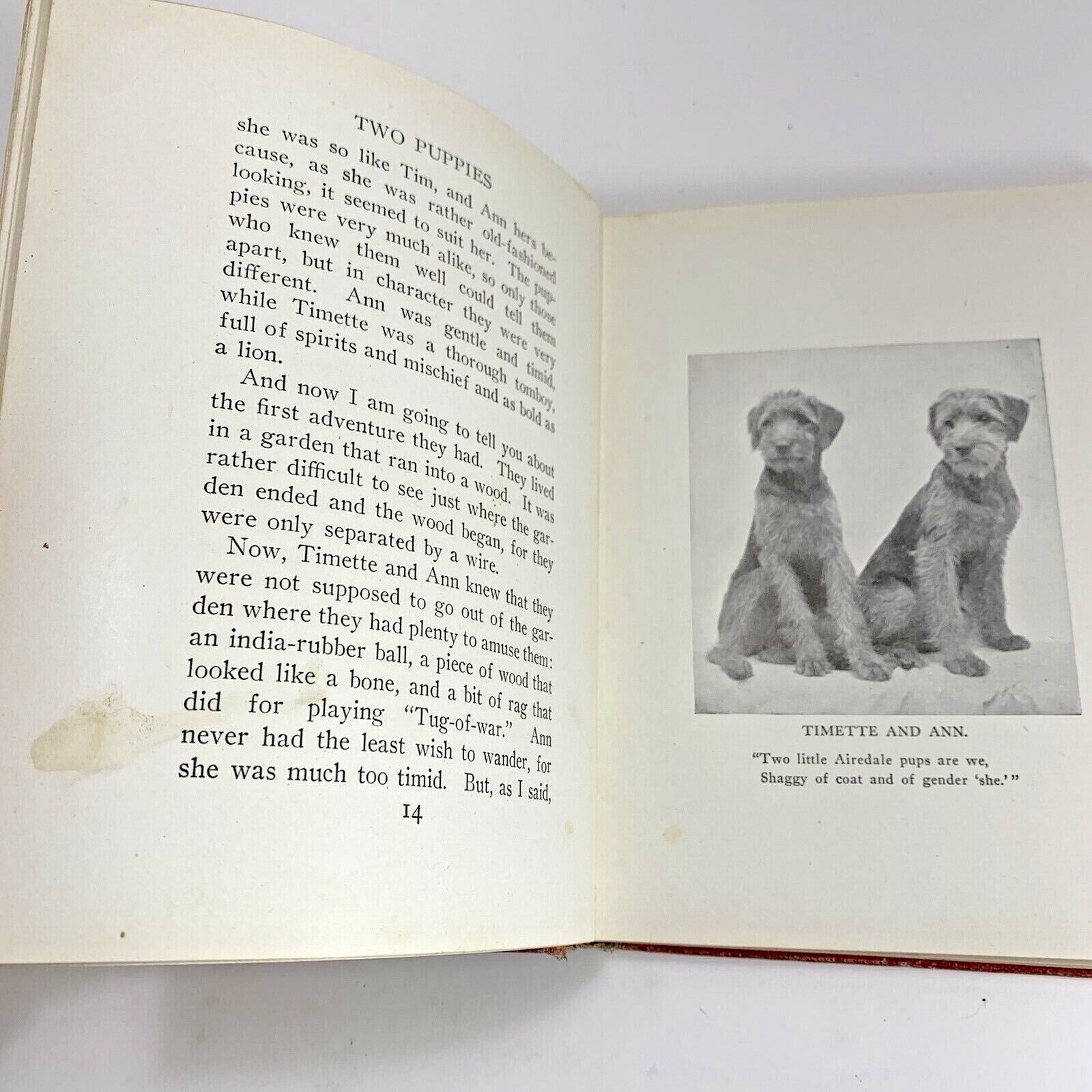 Puppies and Kittens Book Carine Cadby 1920 Illustrated with Early Photographs