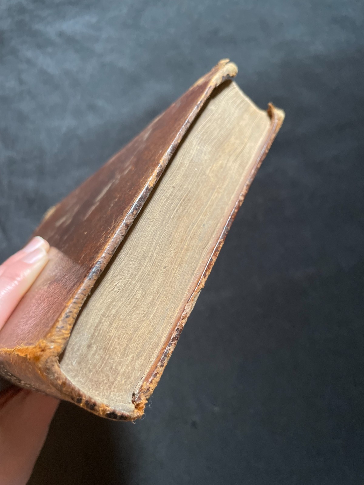 Antique Oliver Goldsmith “History of the Earth & Animated Nature” Vol. 1 (1823)