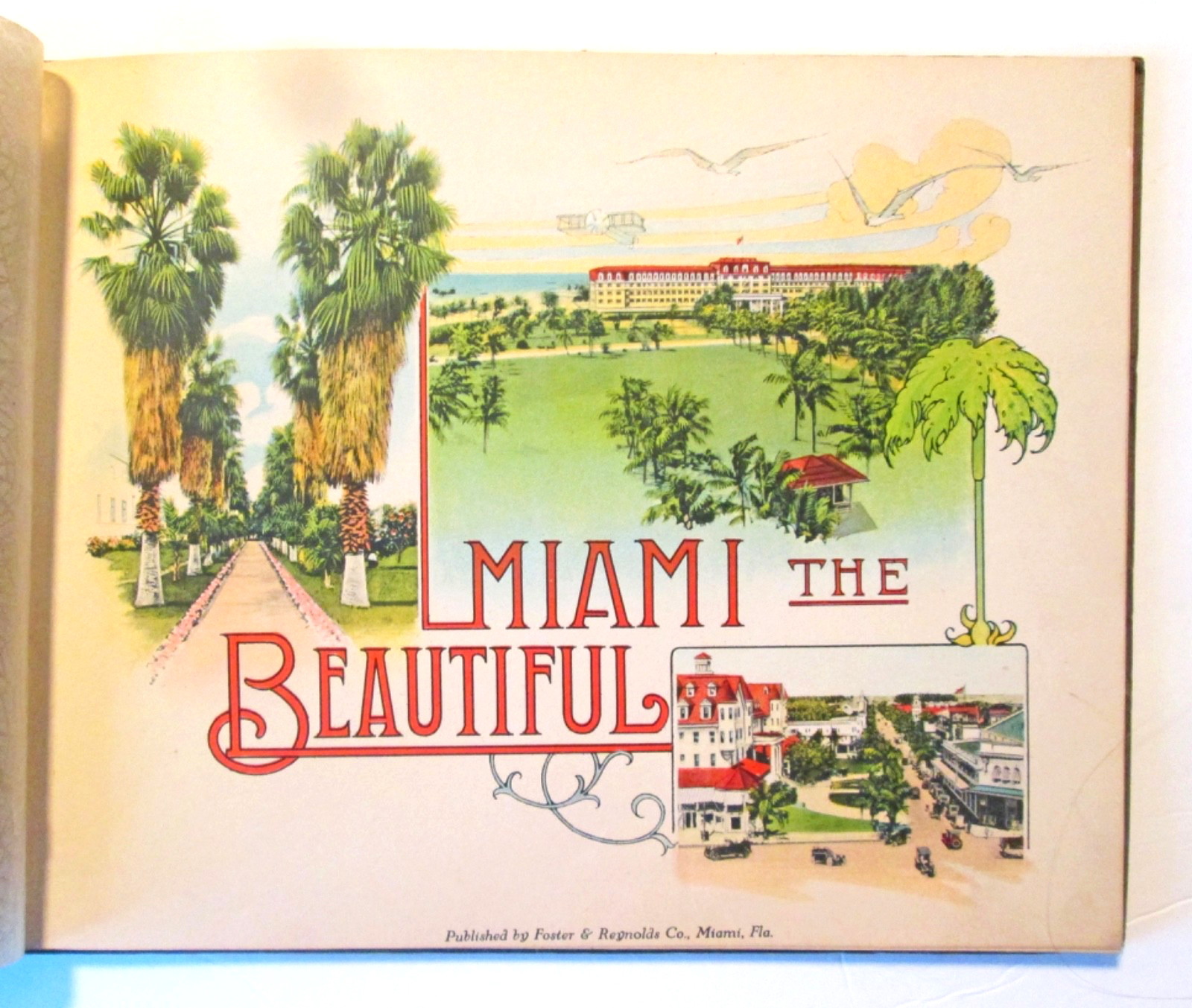 Miami the Beautiful Rare 100+ yr old book Hand tinted Color Plates Florida VG+