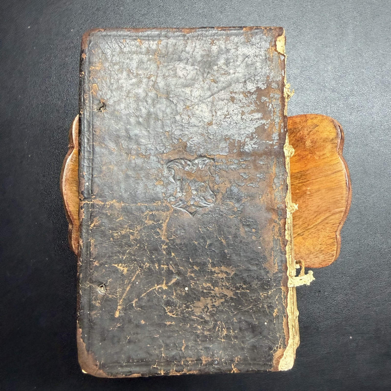 1567 ✝️ Erasmus Novi Testamenti, Latin NT, 100+ Woodcuts, Rihel