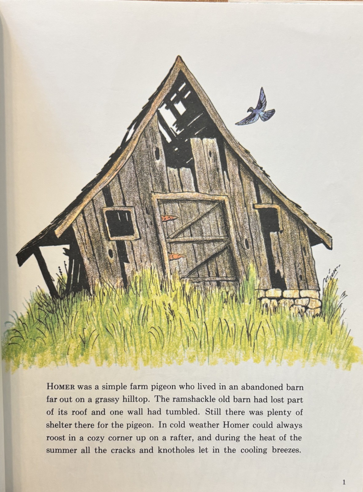 Fly Homer Fly by Bill Peet 1969 – First edition First printing