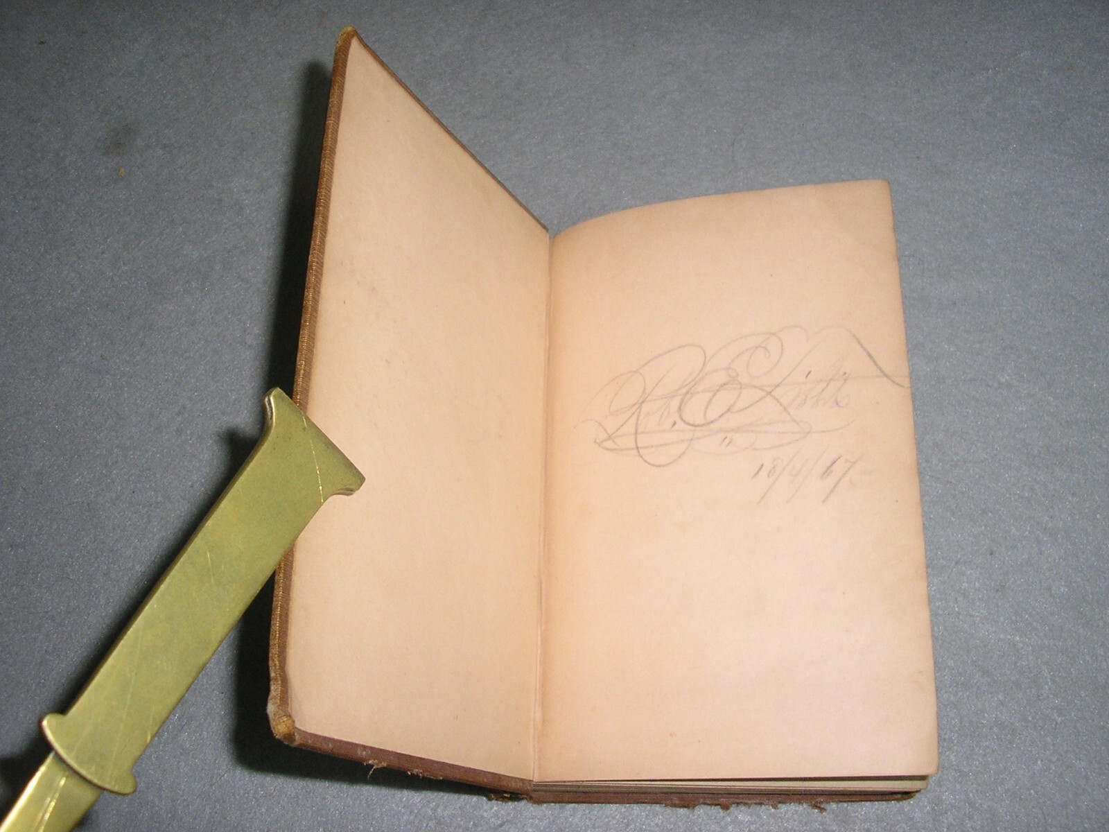 Antique NYC Book New York Life Ernest Grey Sins of Society Gangs of NY Era 1855
