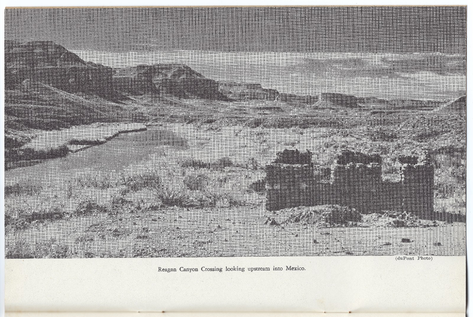 Adventures in the Canyon, Mountain, & Desert Country of the Big Bend of TX & Mex