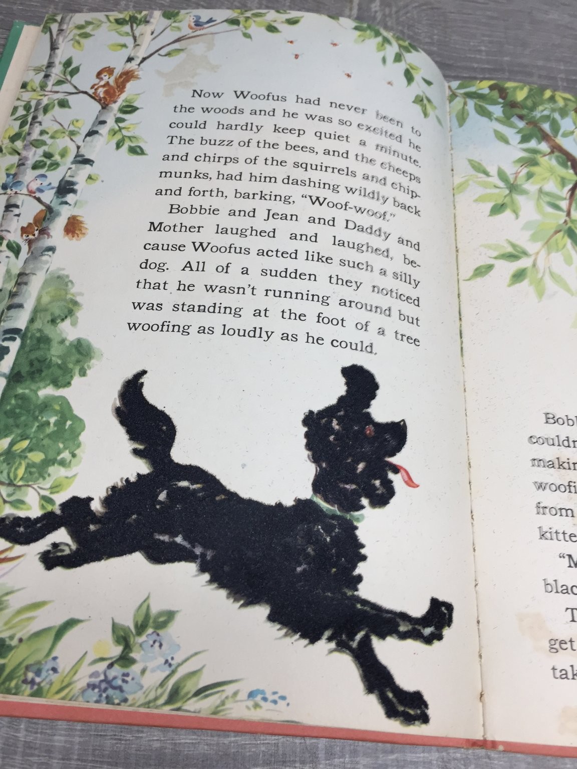 WOOFUS The Woolly Dog Jane Curry 1944 Whitman Illustrated Children’s Poodle