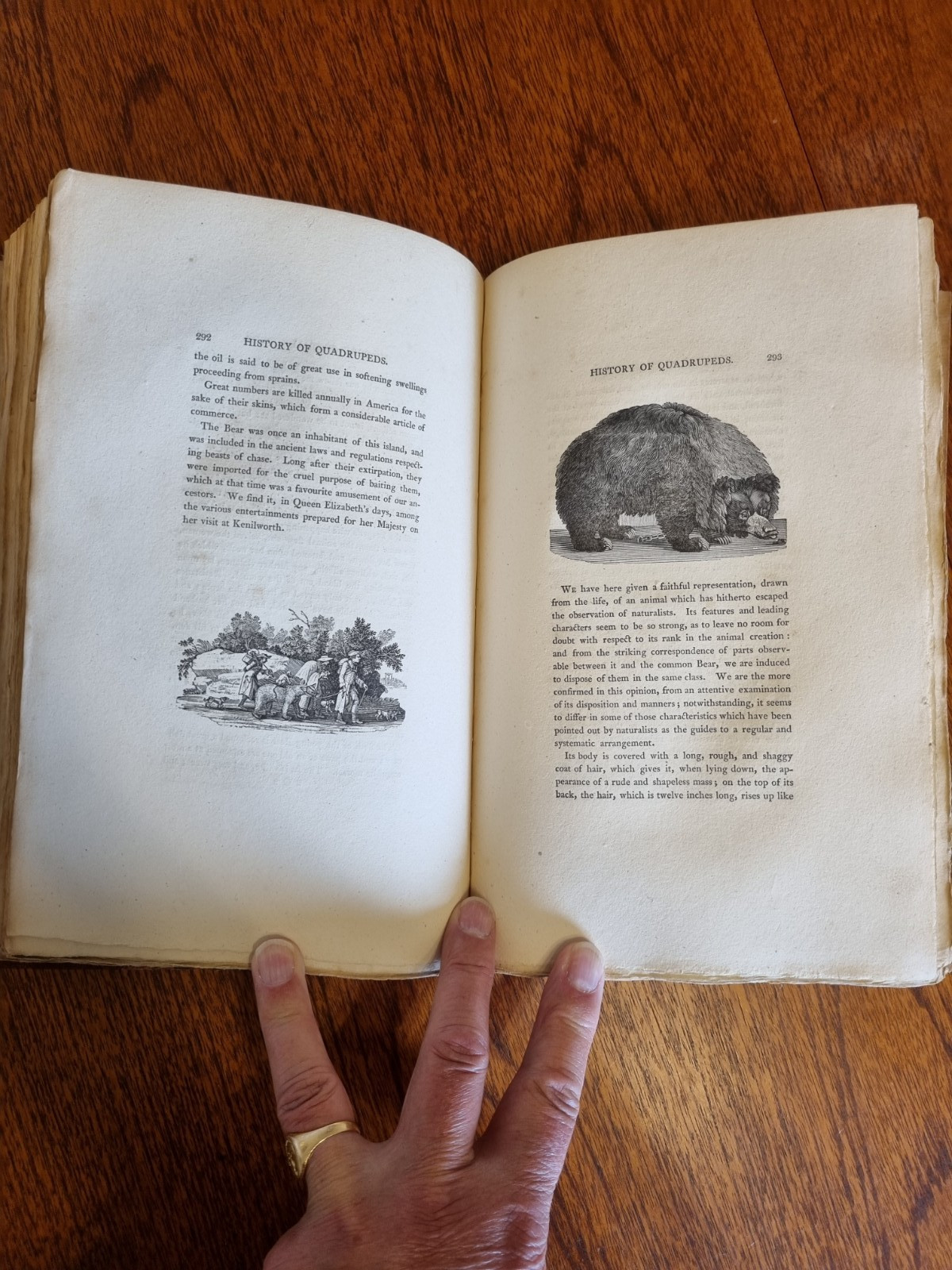 Bewick, Thomas. A General History of Quadrupeds 1807. Imperial paper issue.