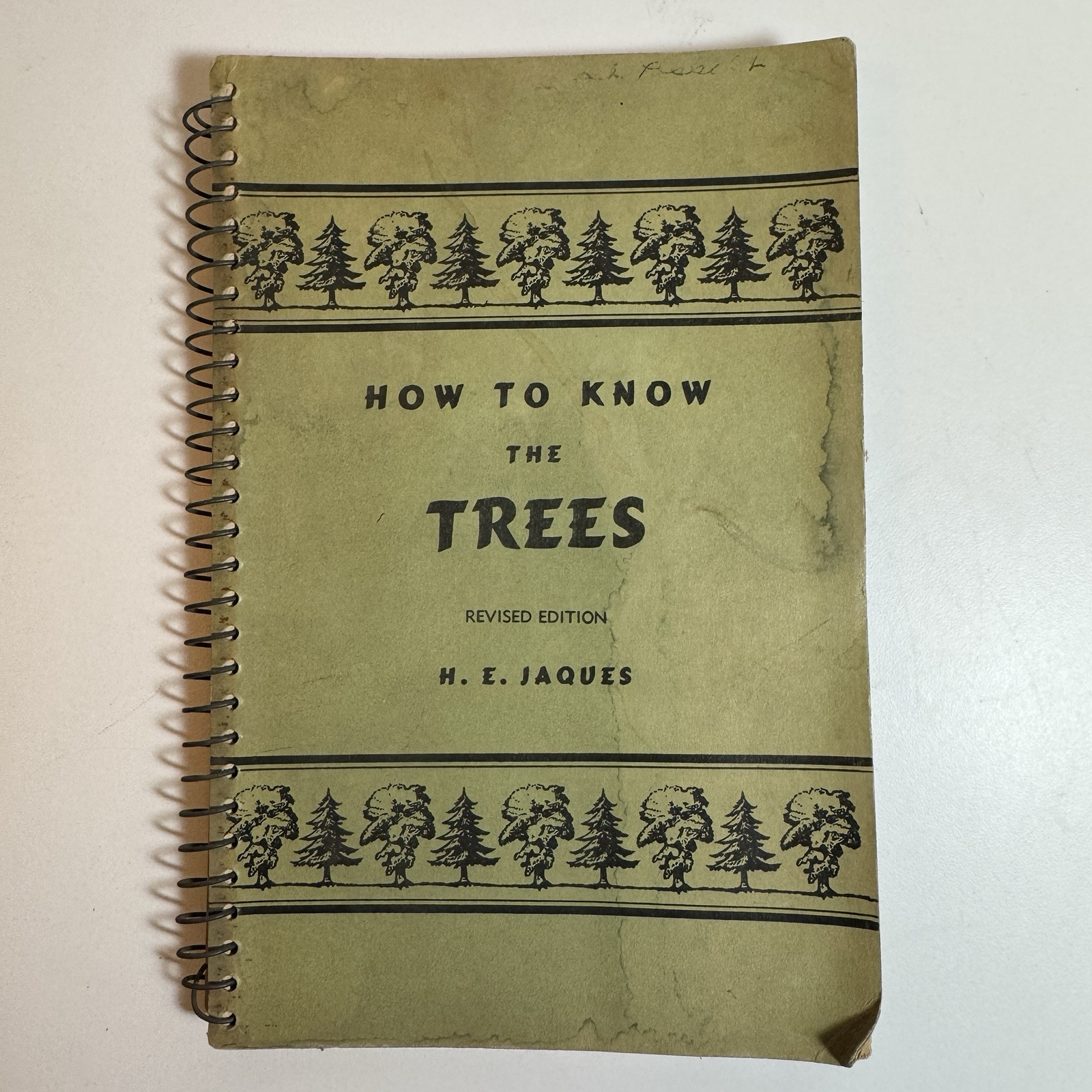H. E. Jaques HOW TO KNOW THE TREES 1946 Spiral bound paperback
