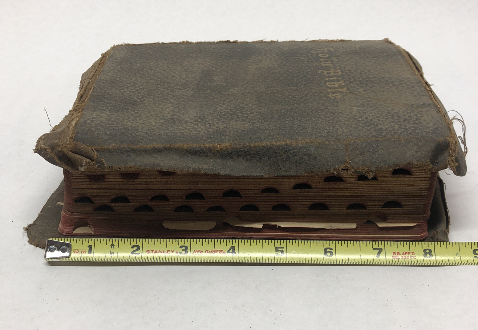 Holy Bible Fine Art Editon The Self-Pronouncing S.S. Teacher’s Combination 1902