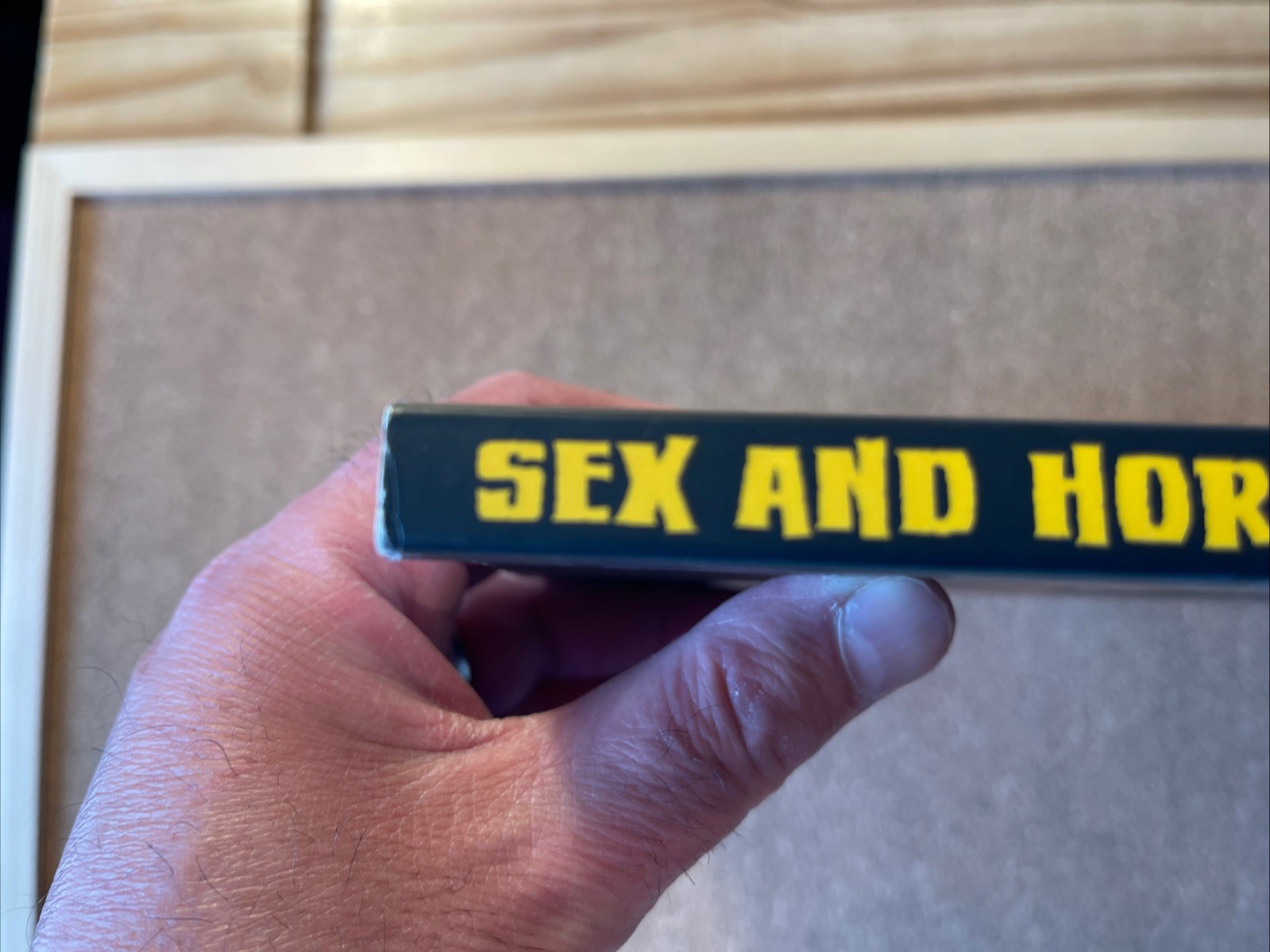 Sex And Horror : The Art Of Emanuele Taglietti VGC 2015 Oversized PB
