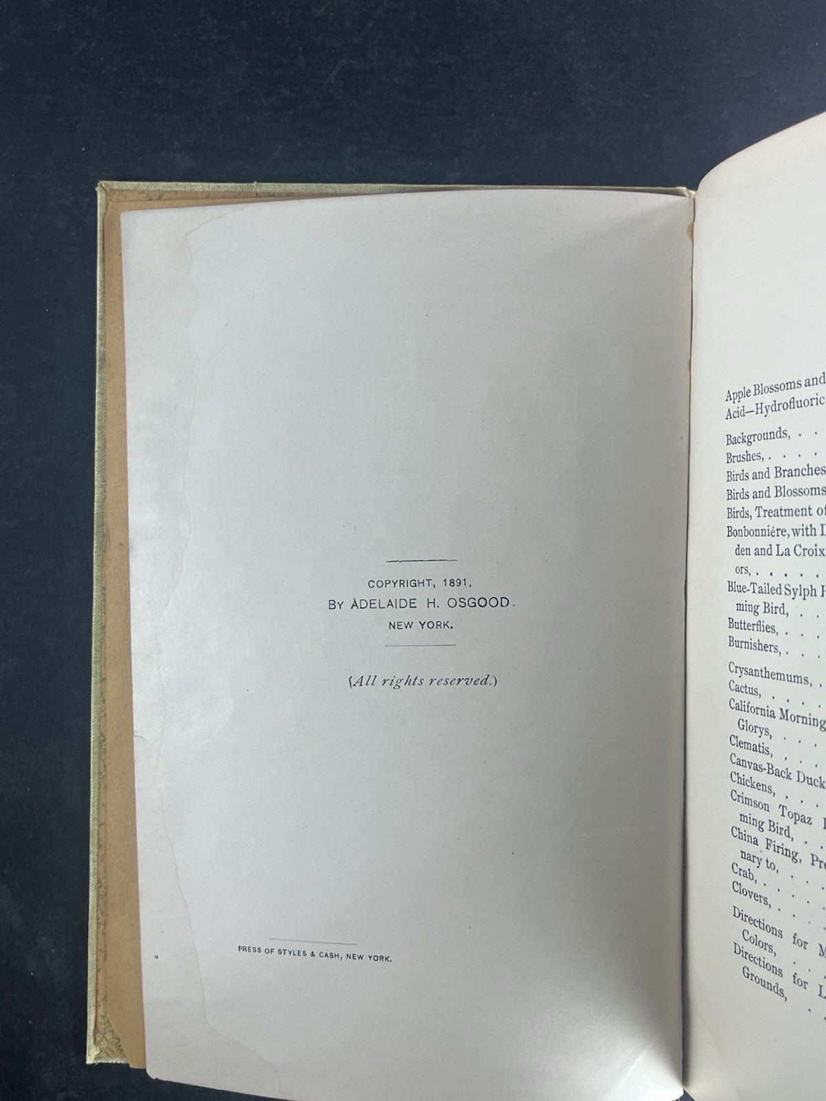 How to Apply Matt, Bronze, Dresden Colors & Gold to China ~ 1891 Antique Book