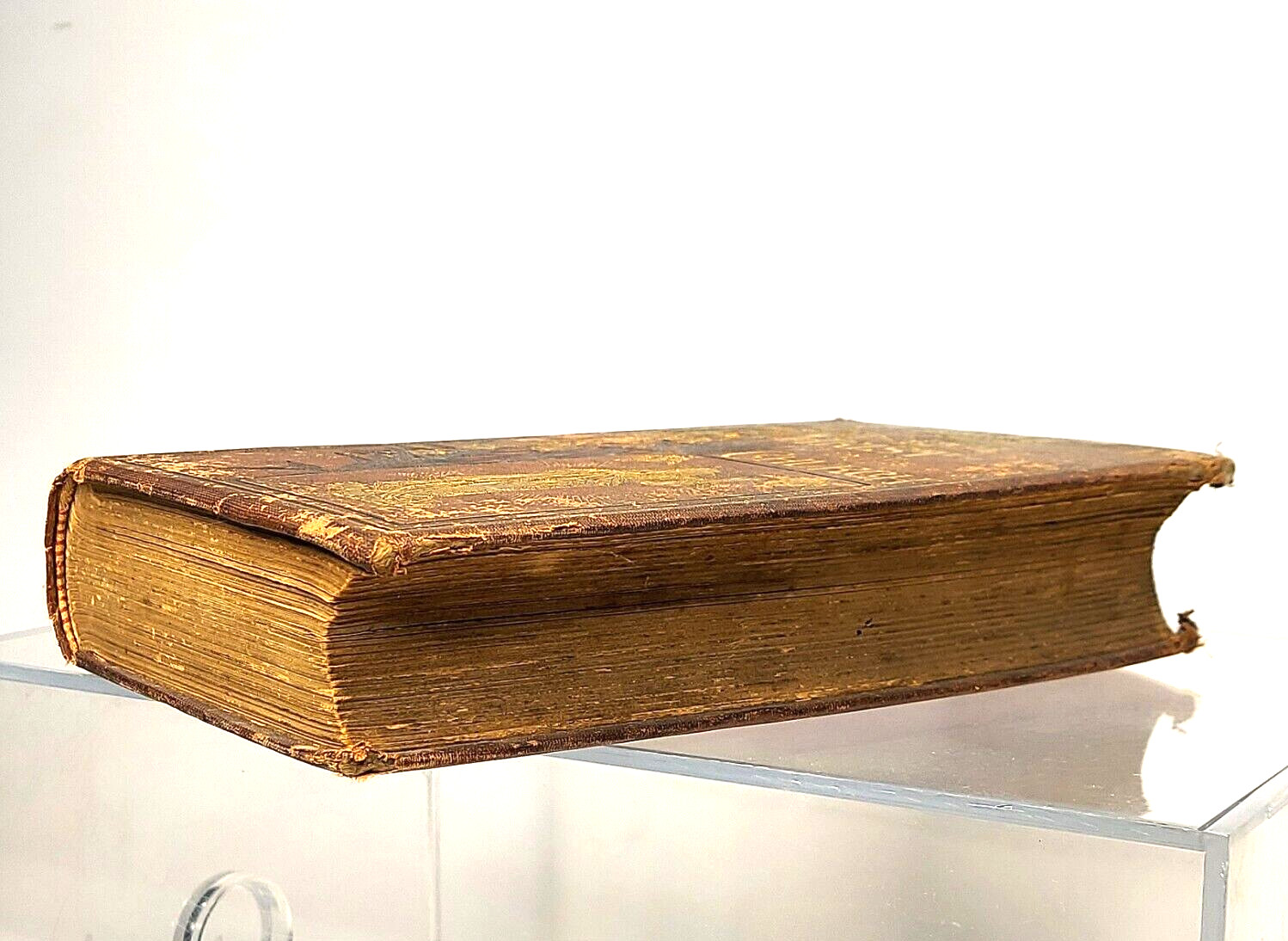 Christ in His Church History of the Catholic Church 1881 Benziger Bros. Antique