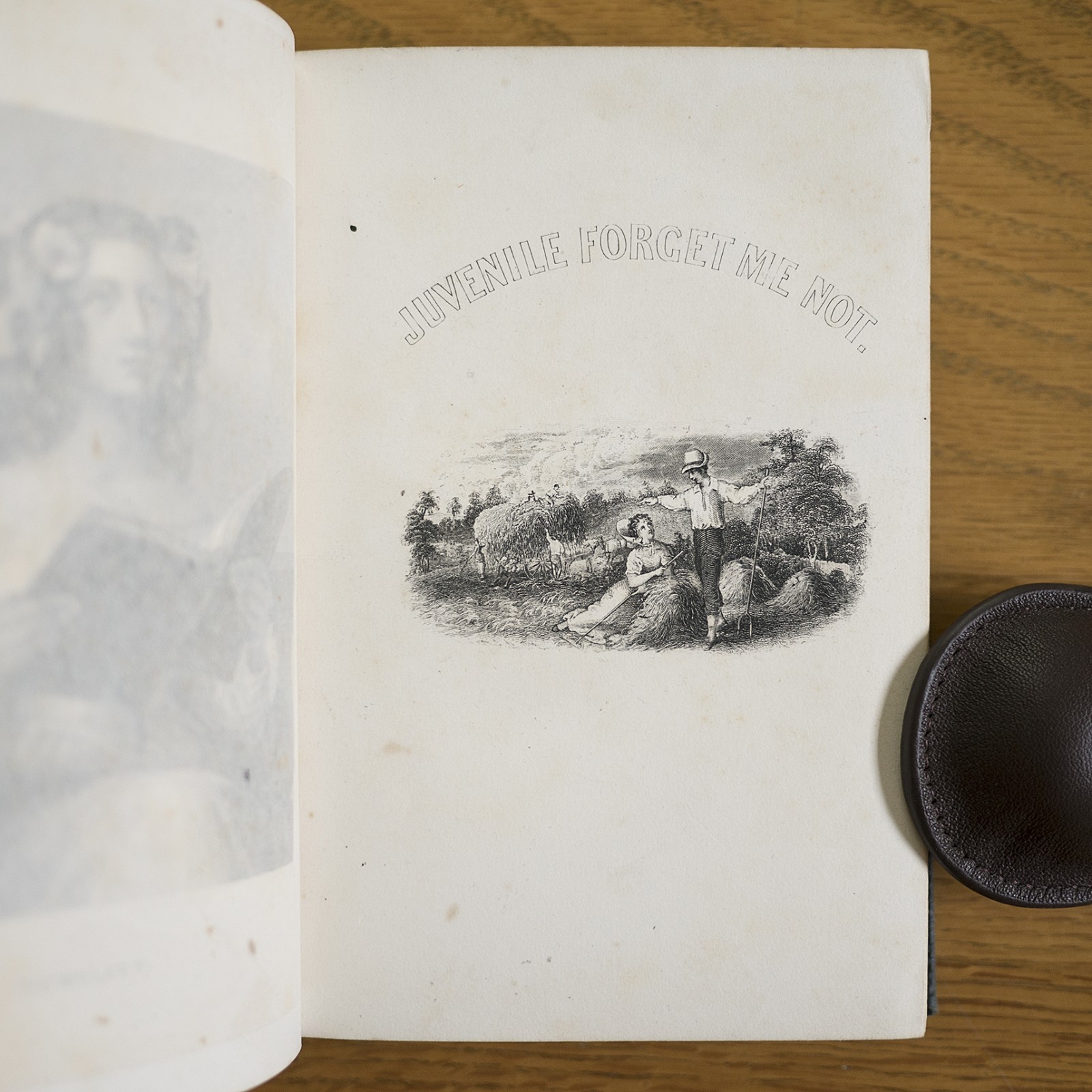 1864 RARE VICTORIAN ANTIQUE BOOK POETRY TALES FAIRY WITCH ELF DEMON SPRITE DEVIL