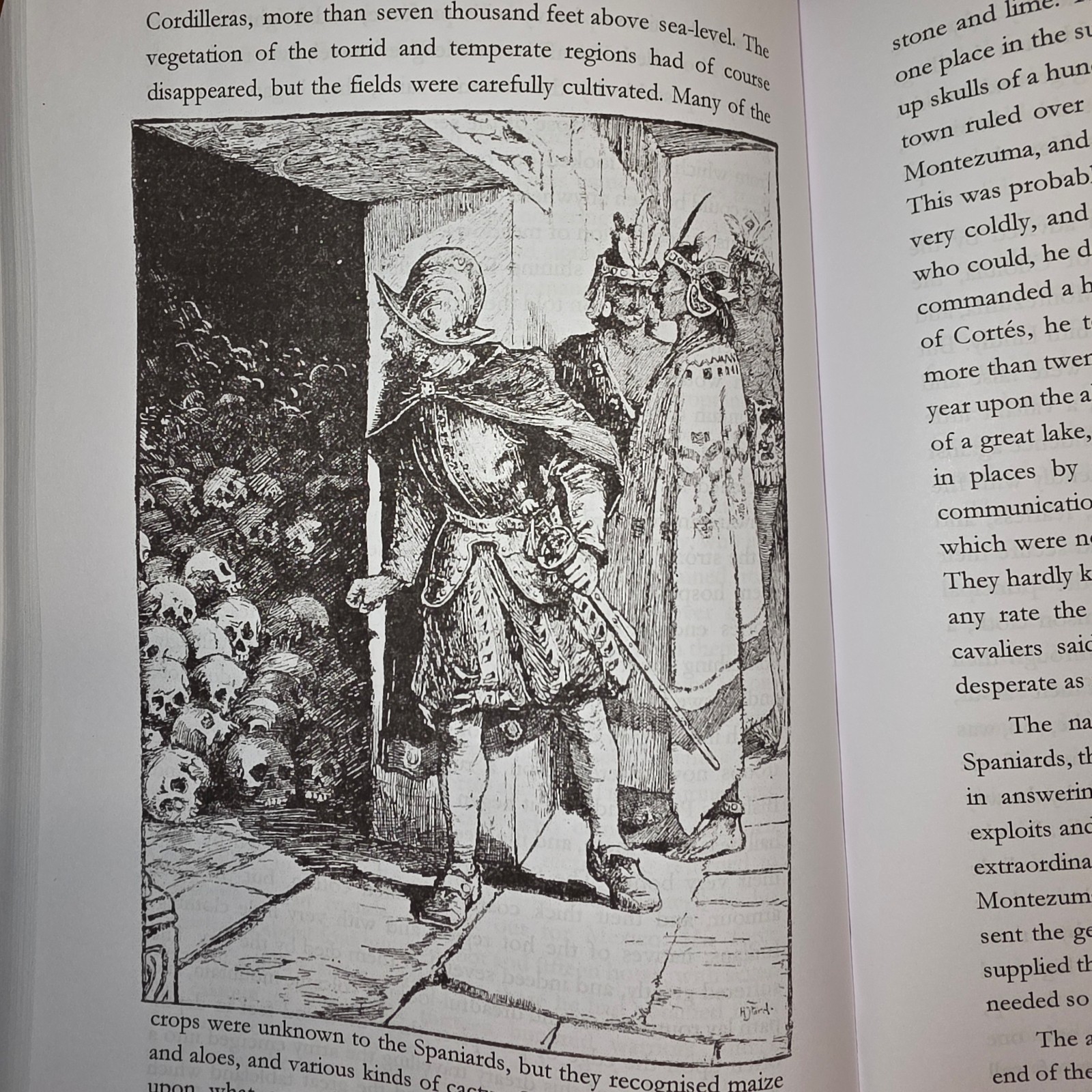 Andrew Lang Story Book Set: Rare Illustrated Children’s Books