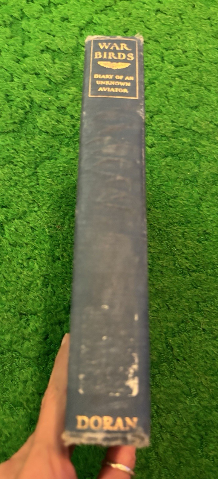 War Birds: Diary of an Unknown Aviator – 1926 – WWI Fighter Pilot US RAF Book