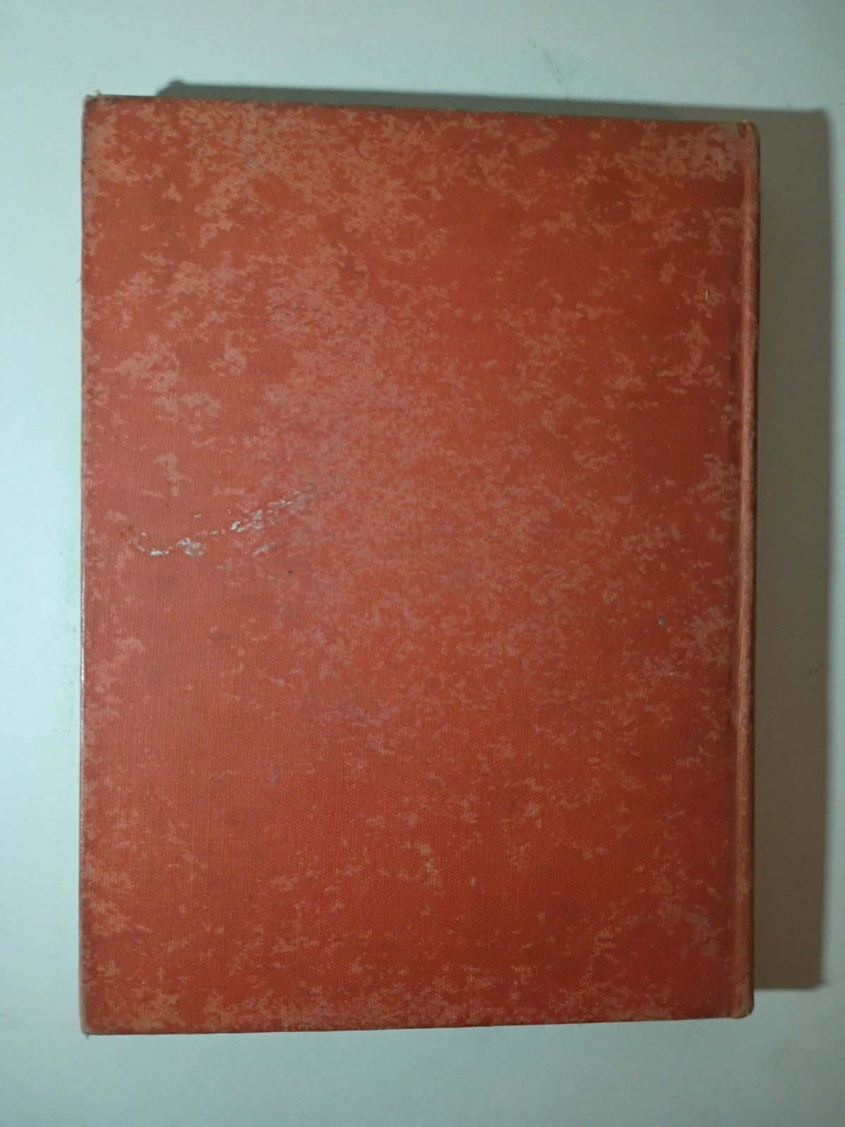 Tales Told in Holland vintage 1954 Hardcover Fairy Tales Children’s Illustrated