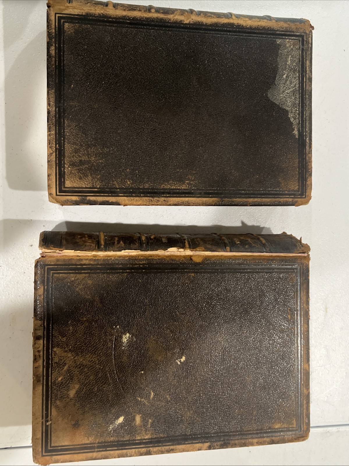 Both Signed “History Of The City Of New York VoI & II” 1877 LAMB, Martha J. Rare