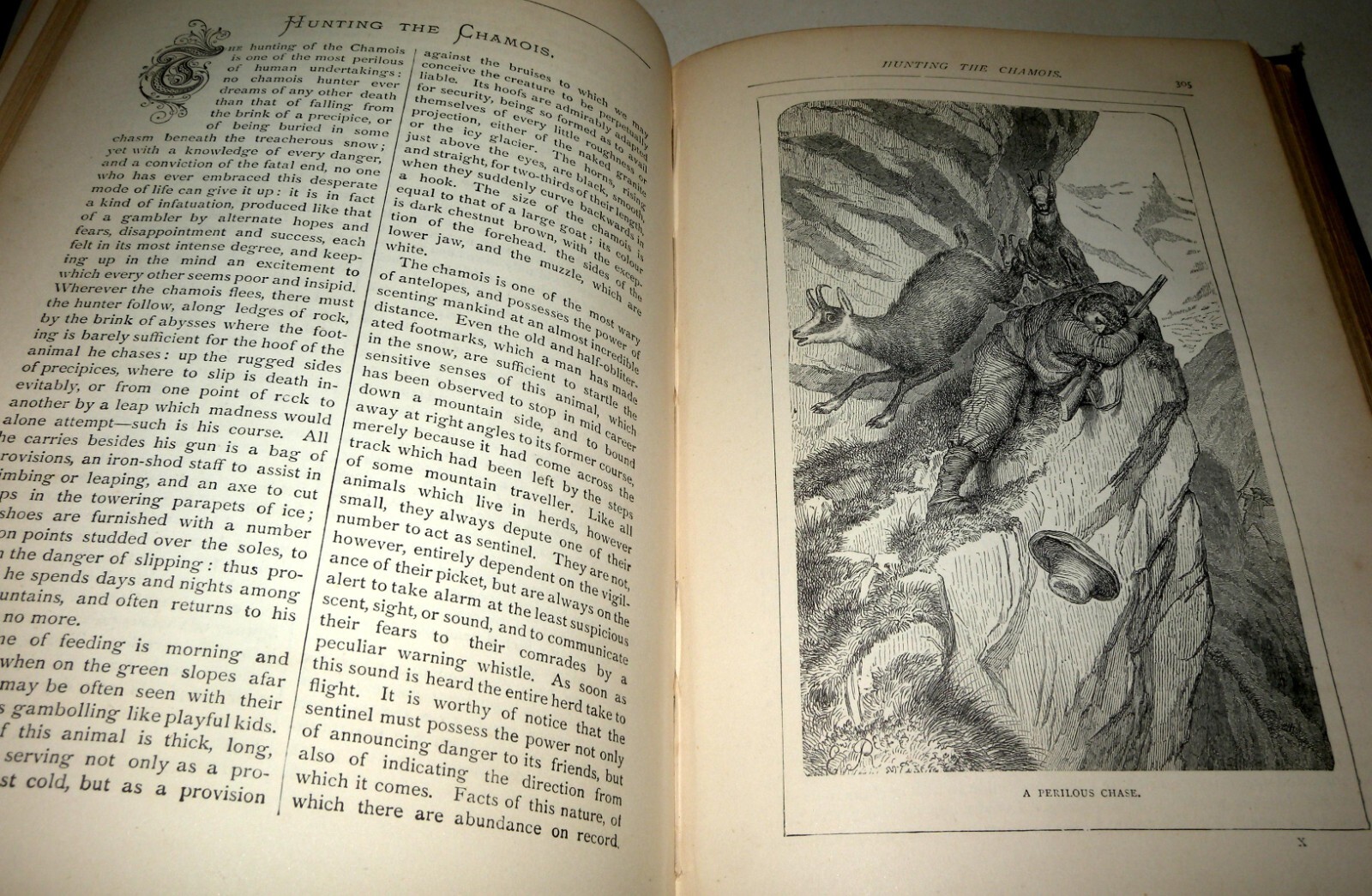 The Pictorial Museum Of Sport & Adventure: Hardback, Illustrated Frederick Warne