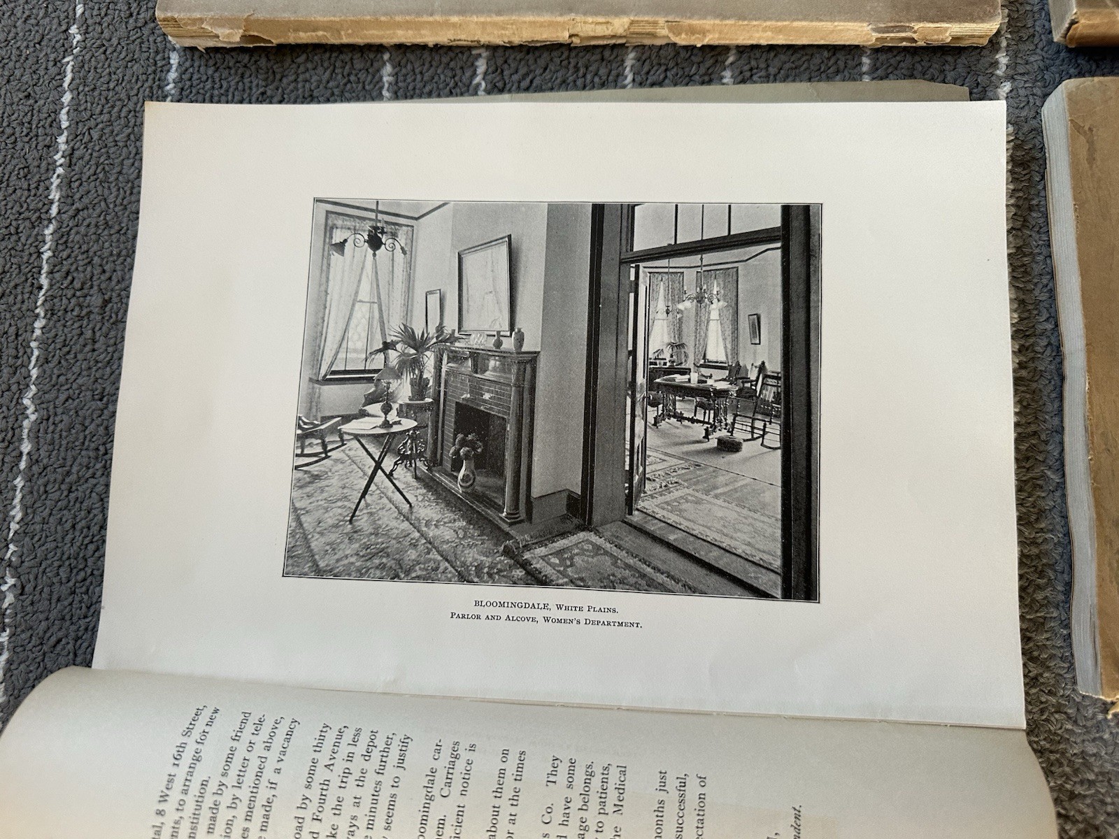 Society Of The New York Hospital / Bloomingdale Asylum Annual Reports NY Insane