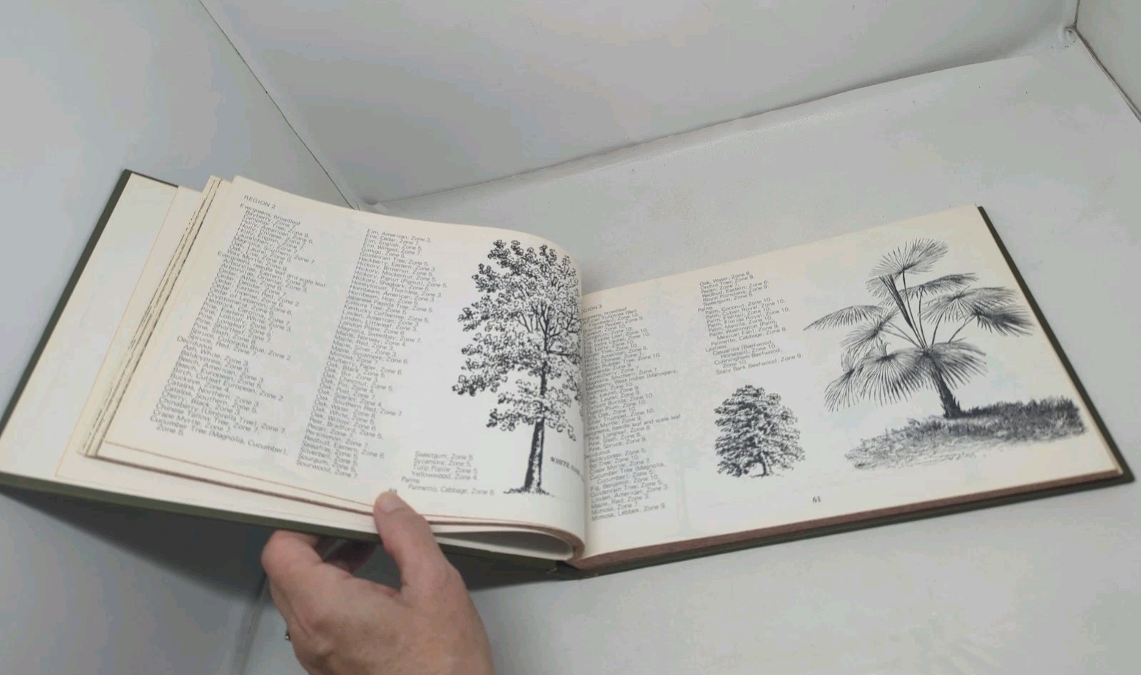 The Gardener’s Catalogue The Guide to Buying Plants 1976 Tom Riker HC DJ BCE
