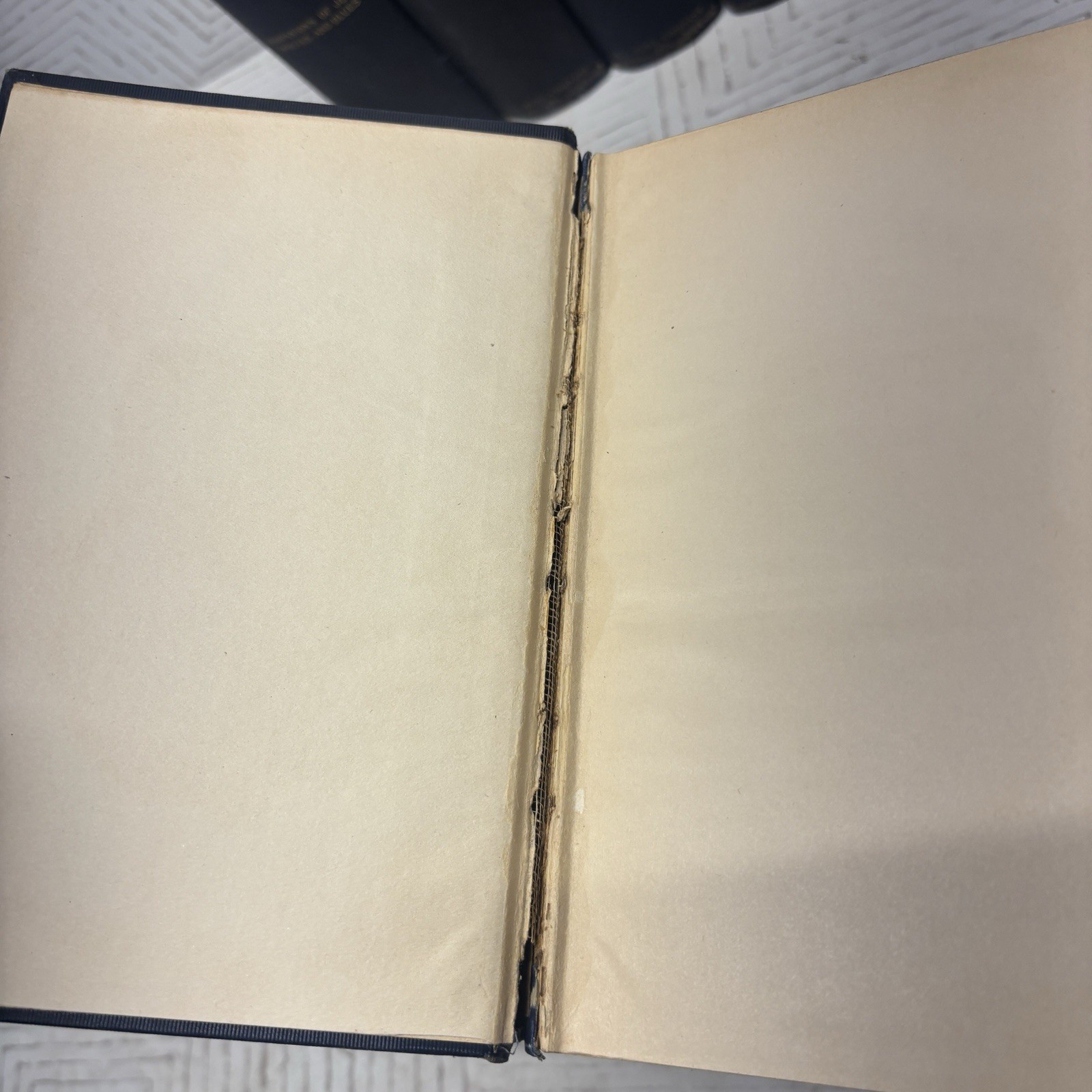 Antique The Works Of Alexandre Dumas A.L. Burt Company Standard Edition 9 Volume