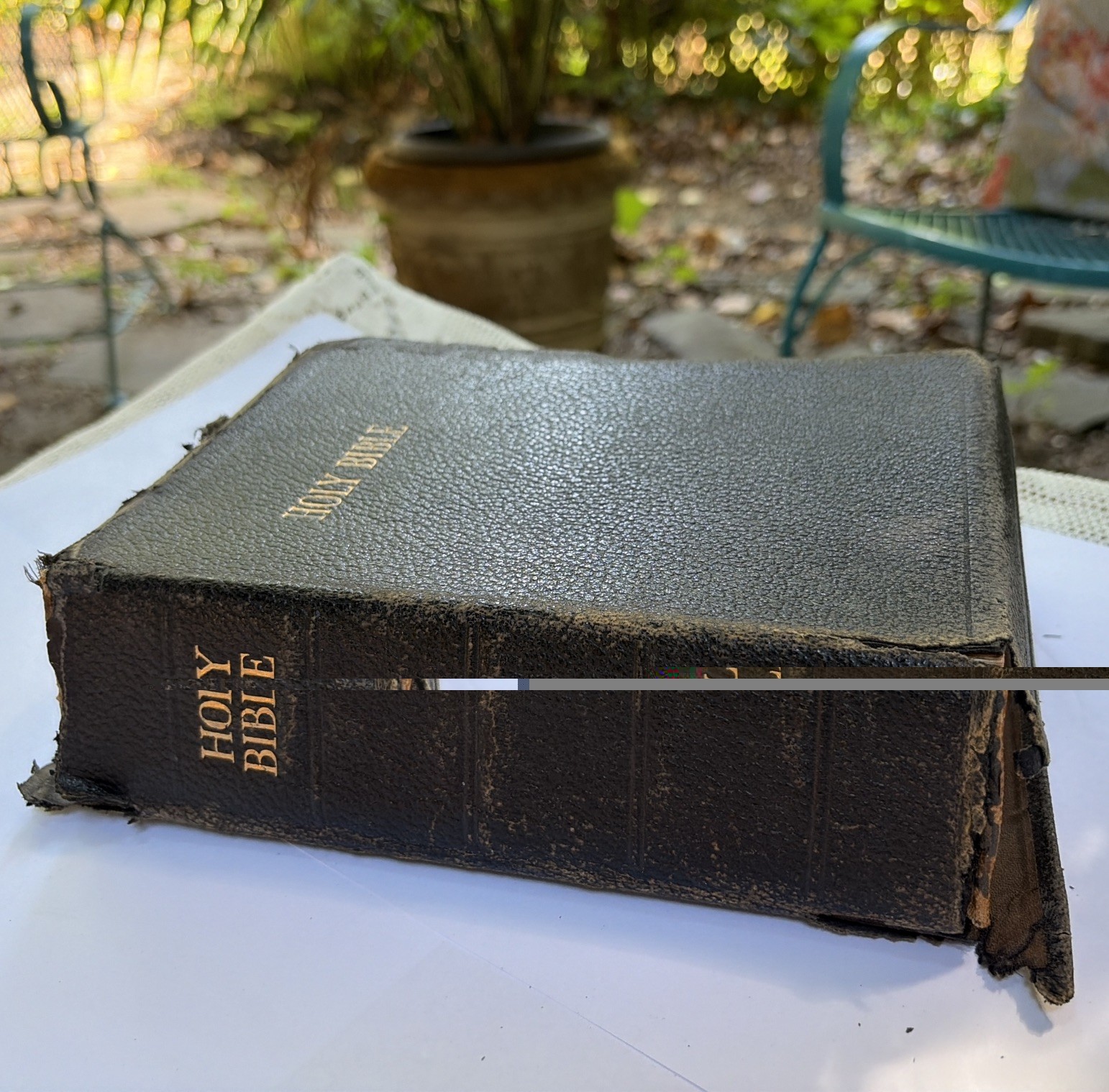 Holy Bible KJV Spencer Press Black Leather Indexed Red Letter Gilt Text Block
