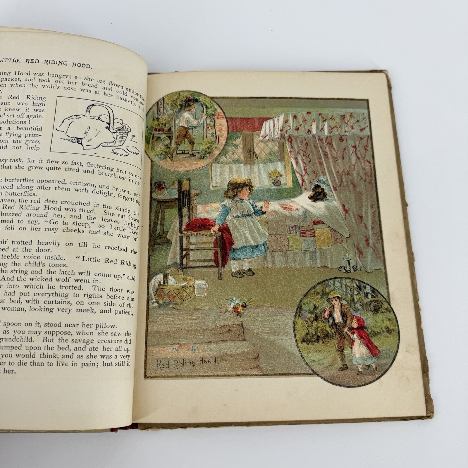 Little Red Riding Hood Book By M.A. Donohue & Co. Tom Thumb ETO
