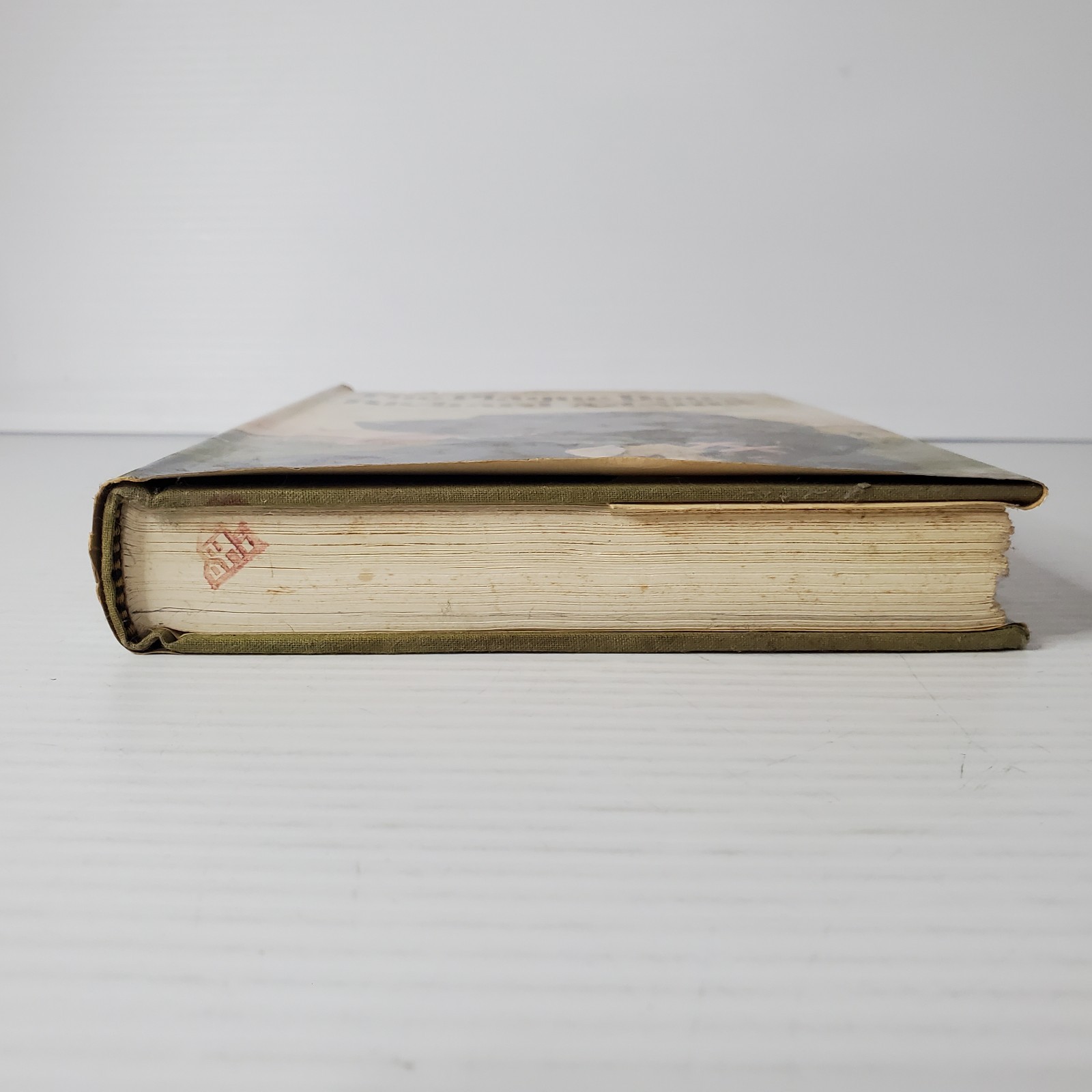 The Plague Dogs By Richard Adams 1978 Hardcover Vintage Alfred A Knopf Novel