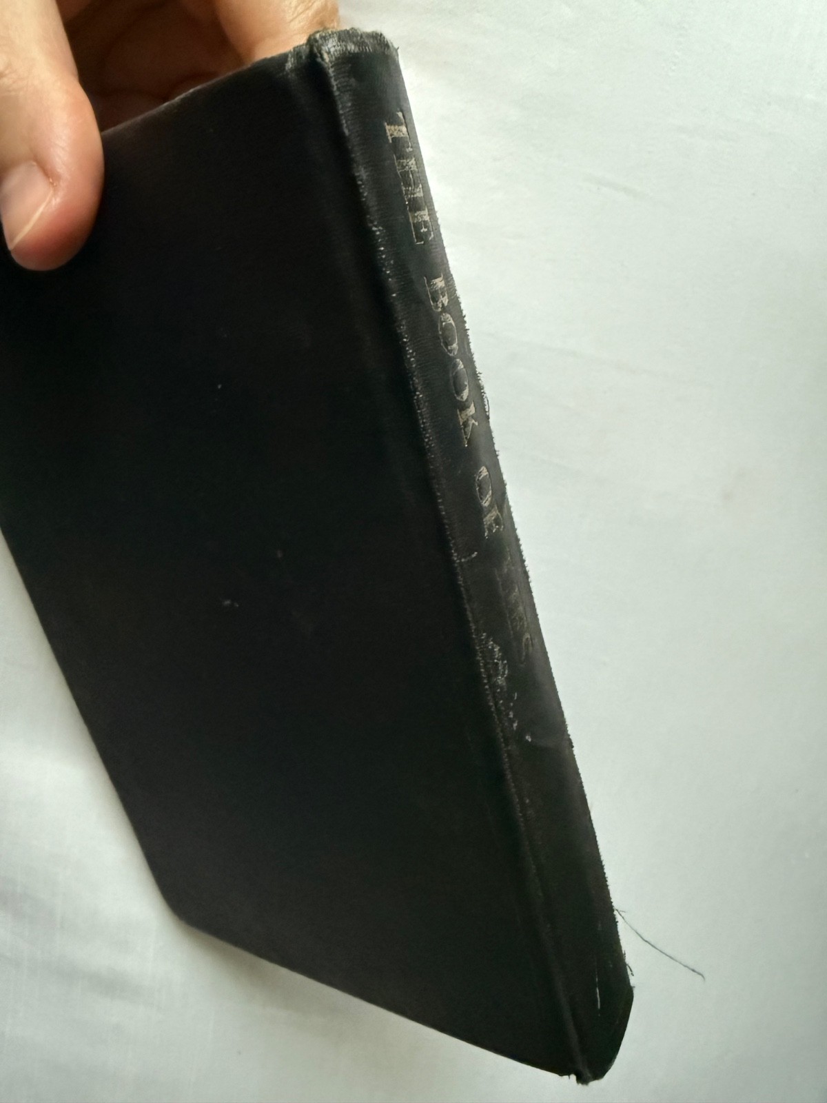 ALEISTER CROWLEY, THE BOOK OF LIES, 1962, THE HAYDN PRESS, OCCULT, THELEMA