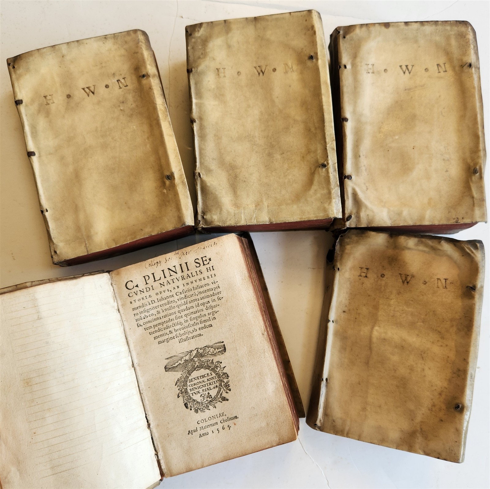 1565 PLINIUS encyclopaedia of natural history 5 VELLUM BOUND VOLUMES 16c ANTIQUE