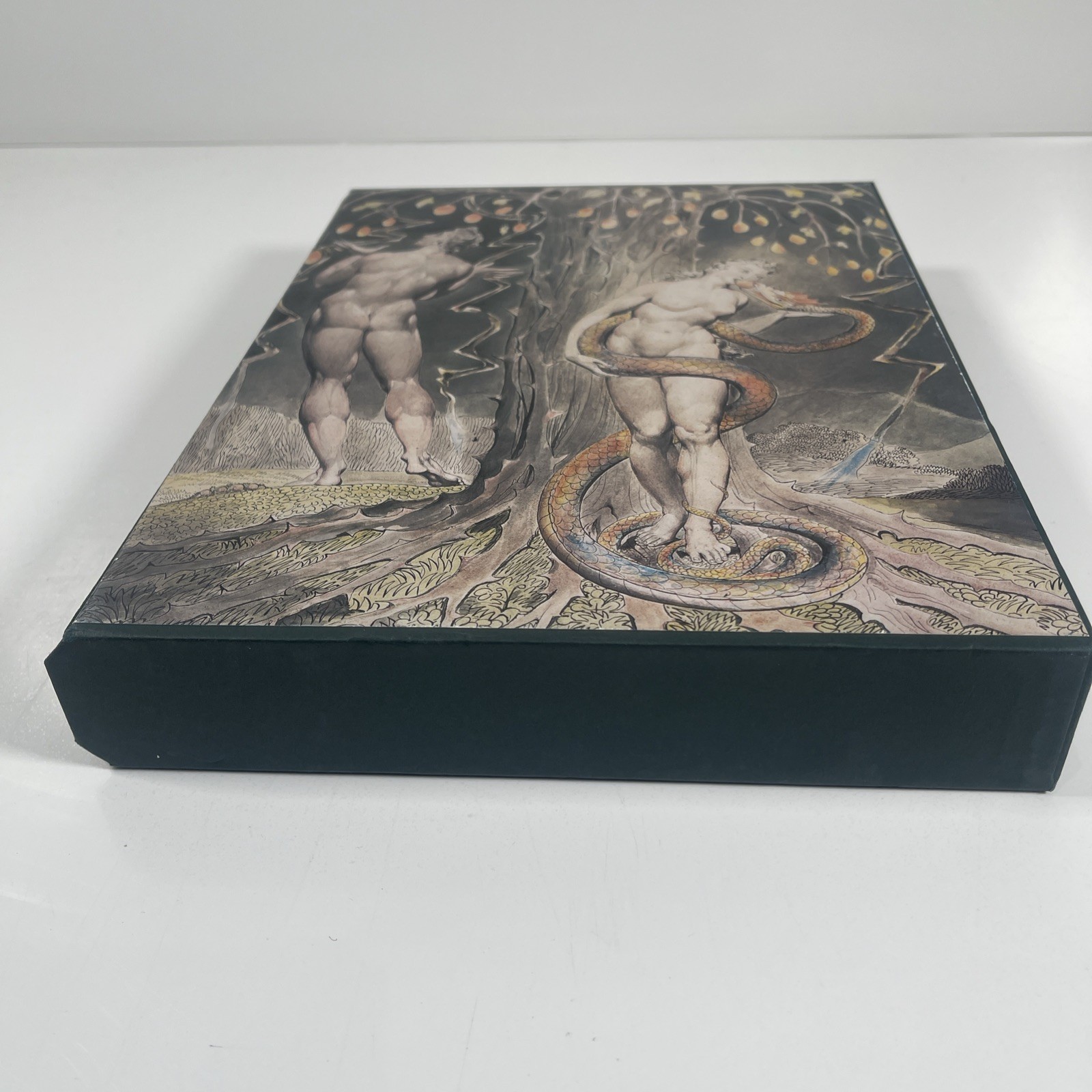 Folio Society – Paradise Lost – John Milton – Illustrated William Blake 2004 3rd