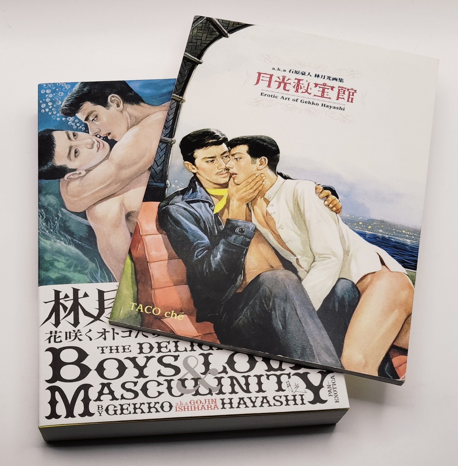 Gekko Hayashi 2 Books Gay Magazine Illustration Art