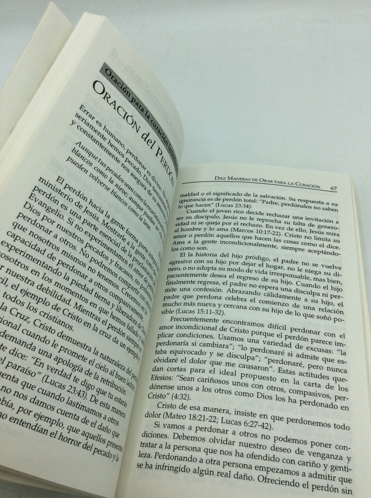 EL PODER CURATIVO DE LA ORACION – Bridget Mary Meehan – 1999 – Spanish Catholic