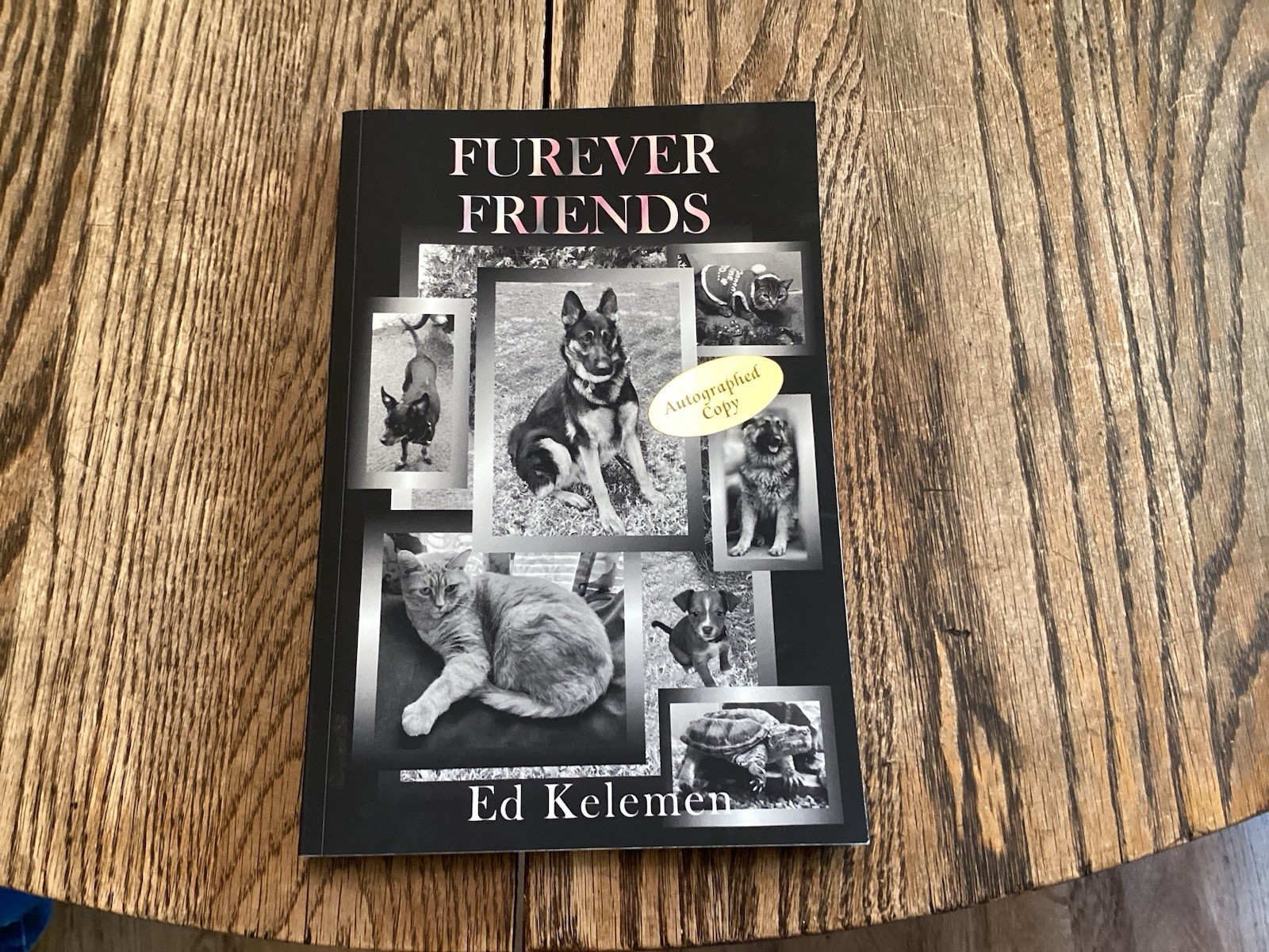 2025 Furever Friends Ed Kelemen Dog Cat Turtle Pets Stories Signed Illustrated