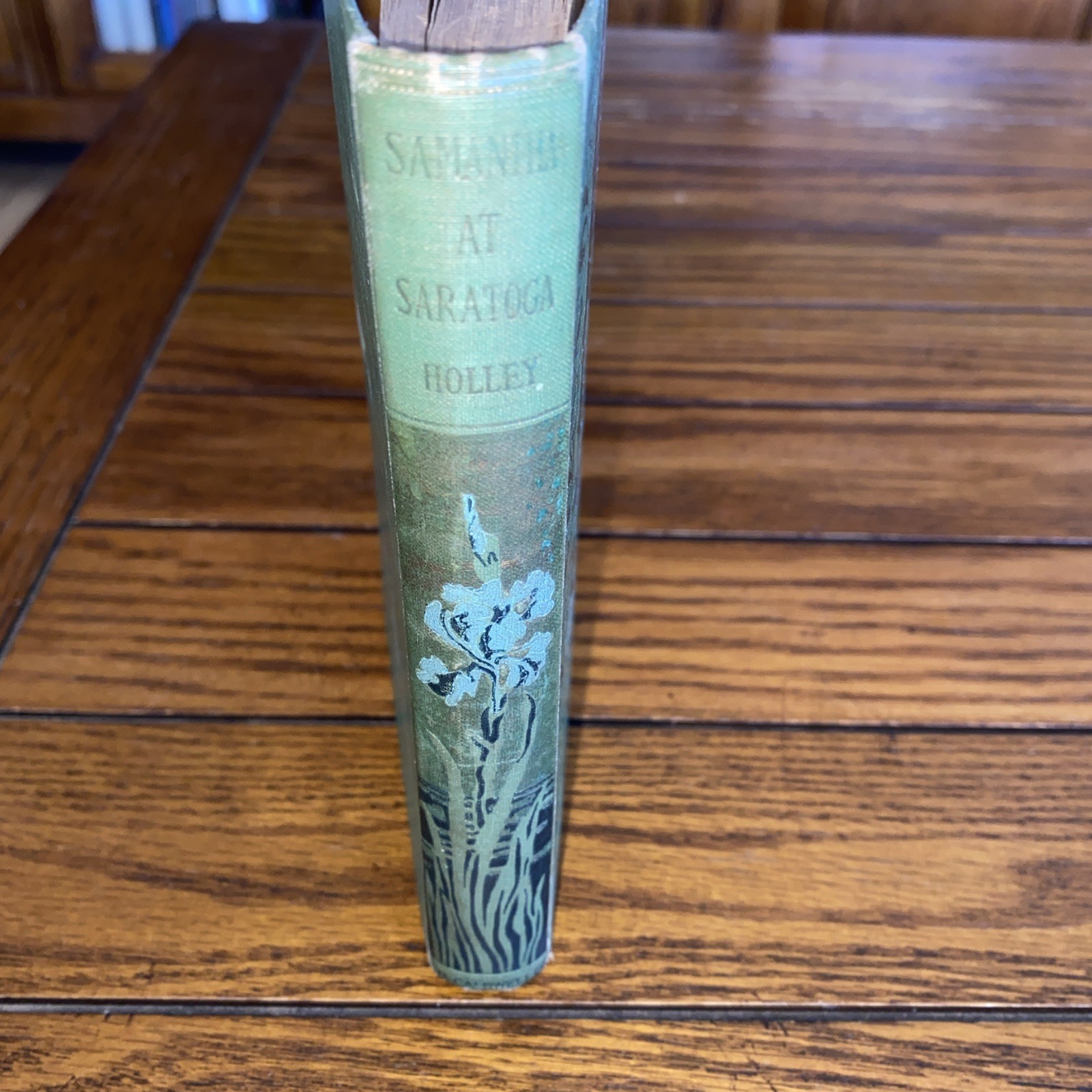 1887 Samantha At Saratoga; or Flirtin With Fashion – Mariella Holley – 1st Illus