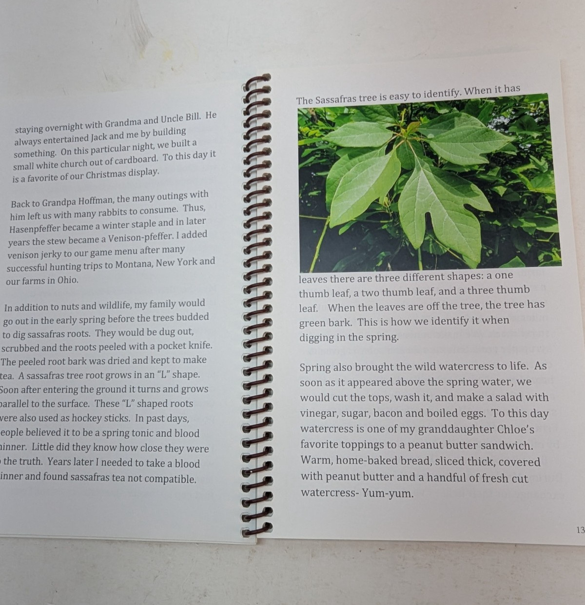 Ramblings Reminiscence and 50 Recipes of an Old Man 2012 Spiral Bound Paperback