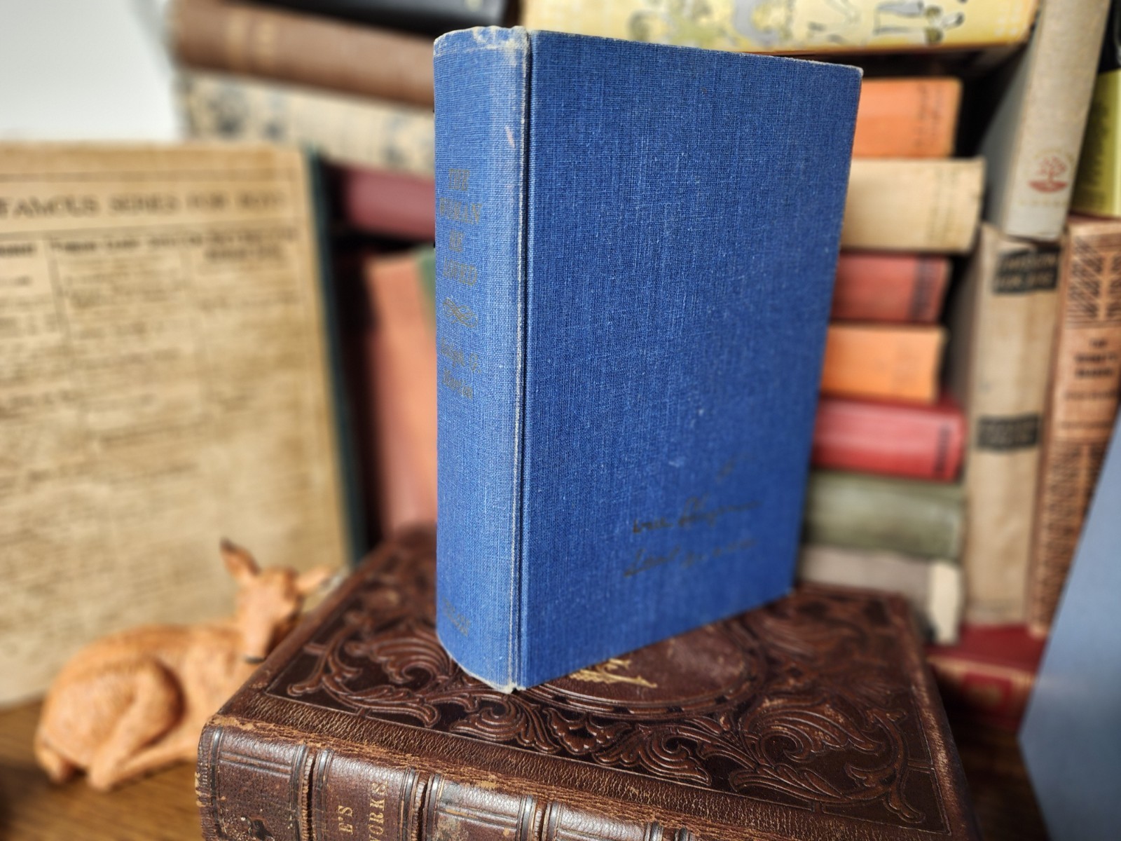 Lot of 5 BLUE / Shades of blue Old Vintage Antique Rare Hardcover Random Books