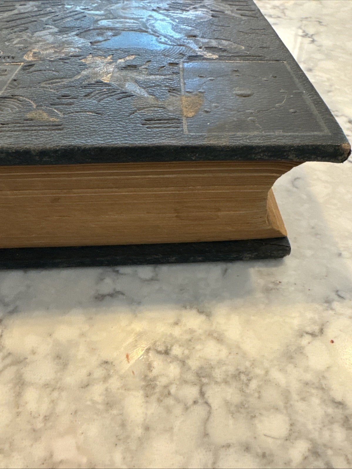 Antique 1880s GAY’S CIRCLE OF KNOWLEDGE Illustrated Victorian Leather Cloth Book