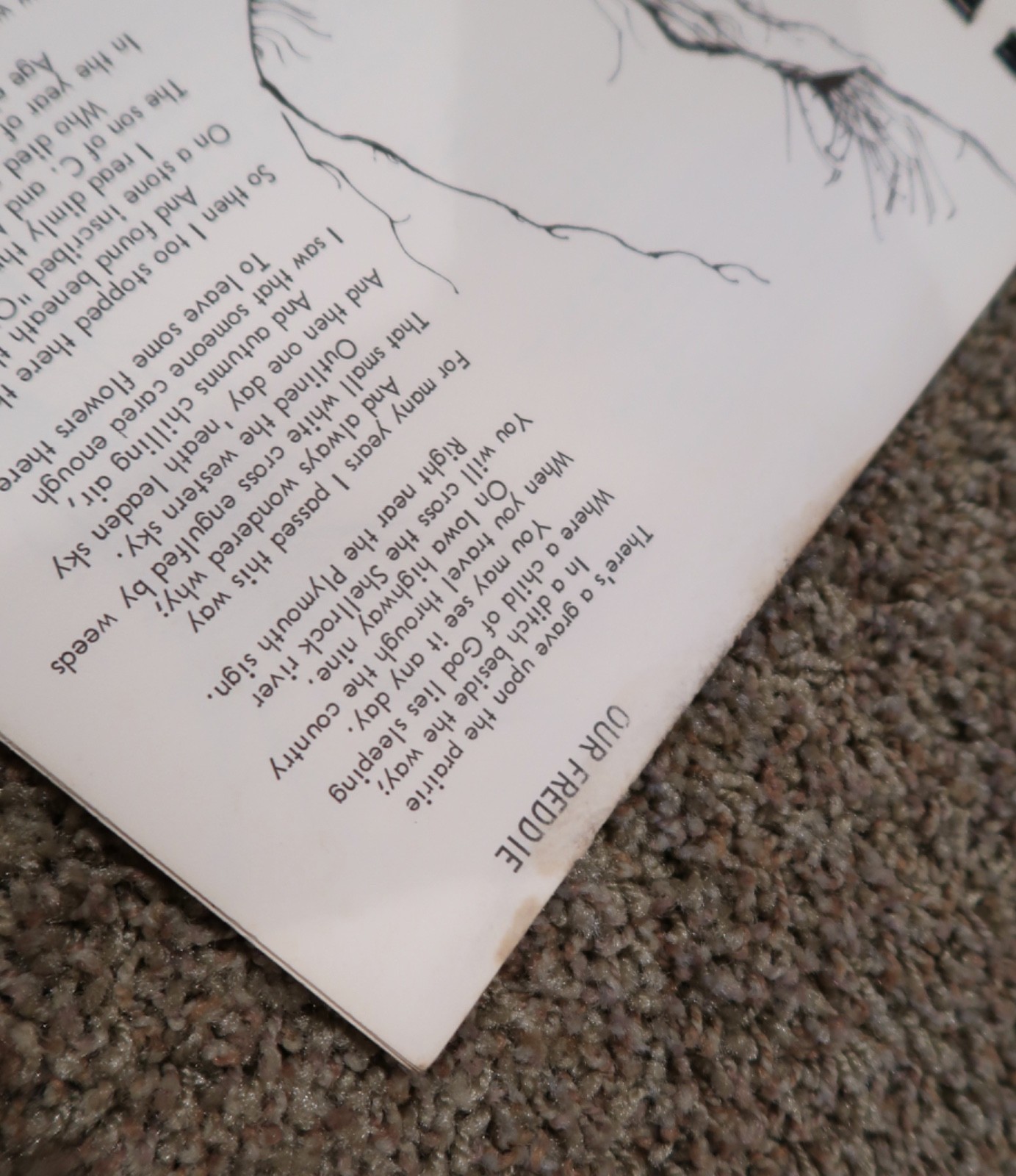 A Forest of Poems by Chambers 🔴 spiral bound book illustrated Vintage 1970
