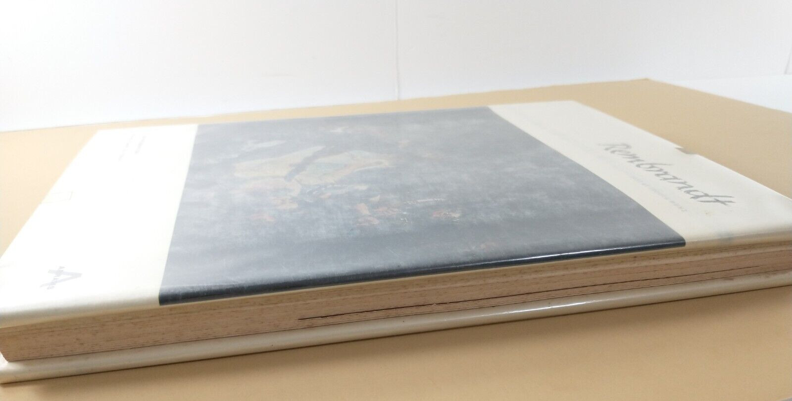 Vintage REMBRANDT & RENOIR Art Print Reproduction Book Lot From ITALY GERMANY