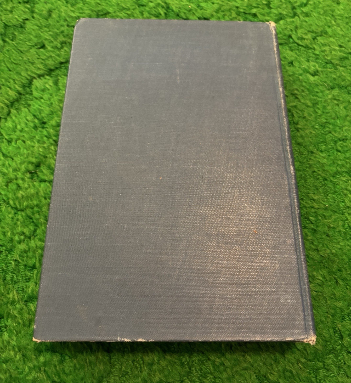 War Birds: Diary of an Unknown Aviator – 1926 – WWI Fighter Pilot US RAF Book